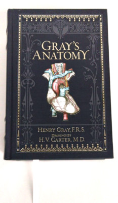 Gray’s Anatomy By Henry Gray F.R.S. Barnes & Noble Special Edition HARDCOVER-image