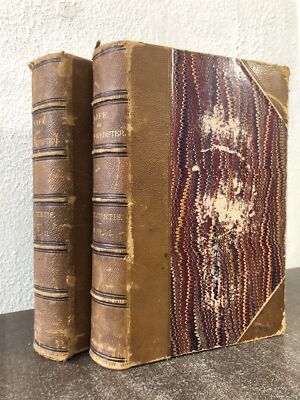 Life of Daniel Webster: 2-Vol Set – 1870 - George Ticknor Curtis - leather-image
