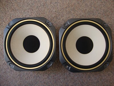 Pair 10