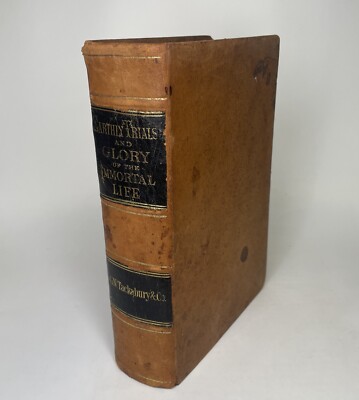 1878 Earthly Trials and Glory of the Immortal Life-image