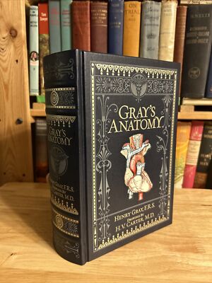 Grays Anatomy Henry Gray FRS HV Carter HC Leather Bound Illustrated 15th Ed 2010-image