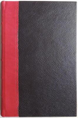1895 RUSSIA History Book Secret Memoirs of the Court of St Petersburg Leather-image