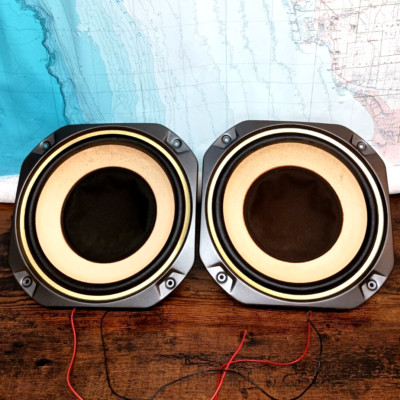 PAIR Fisher 10