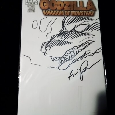 GODZILLA KINGDOM OF MONSTERS HAND DRAWN SIGNED AUTOGRAPHED COMIC BOOK-image