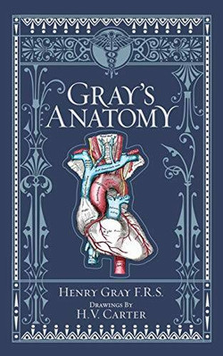 Gray's Anatomy (Barnes & Noble Collectible Classics: Omnibus Edition) - GOOD-image