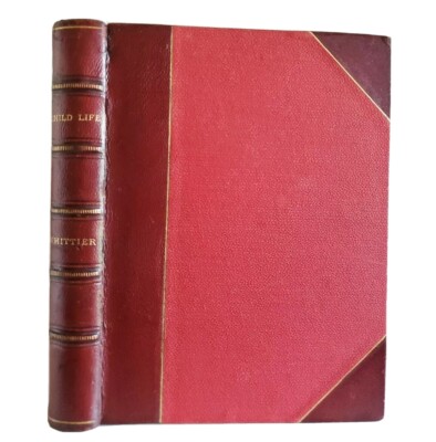 Child Life: Poetry, Ed. John Greenleaf Whittier Antique 1871 Victorian Leather-image